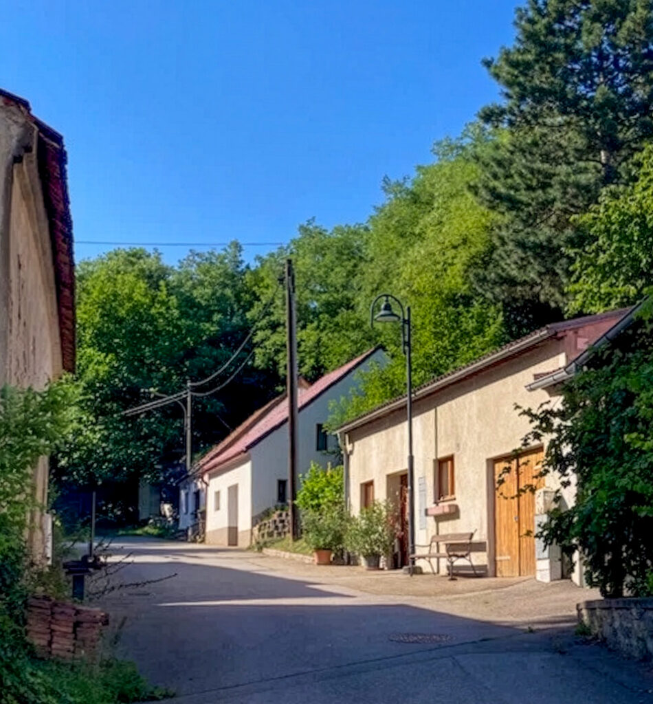 Meditatives Wandern