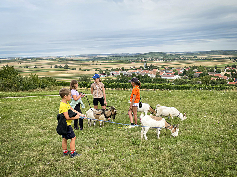 Zeigenwanderung