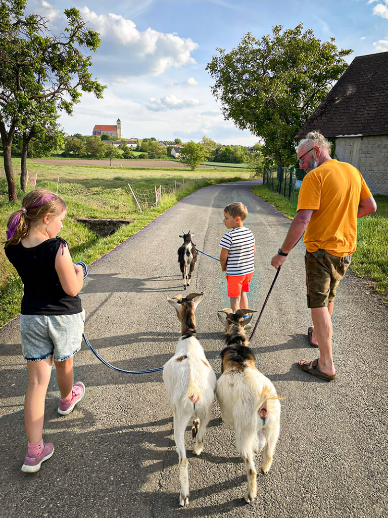 Zeigenwanderung Kellergassen Kirchberg Österreich