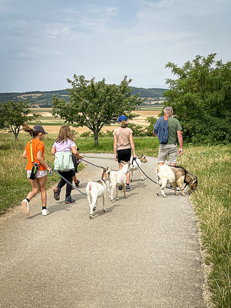 Zeigenwanderung Wartberg